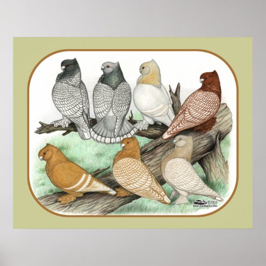 クラシックフリルピジョンズブロンディーネット ポスター (正面)