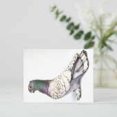 クラシックフリル鳩はがき ポストカード (スタンド正面)