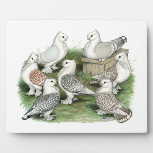 クラシックフリル鳩 フォトプラーク