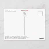 クラシックフードオーナメント ポストカード (裏面)