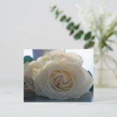 「クラシックホワイト」シリー空白のズ葉書 ポストカード (スタンド正面)