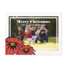 クラシックポインセチア休日の写真