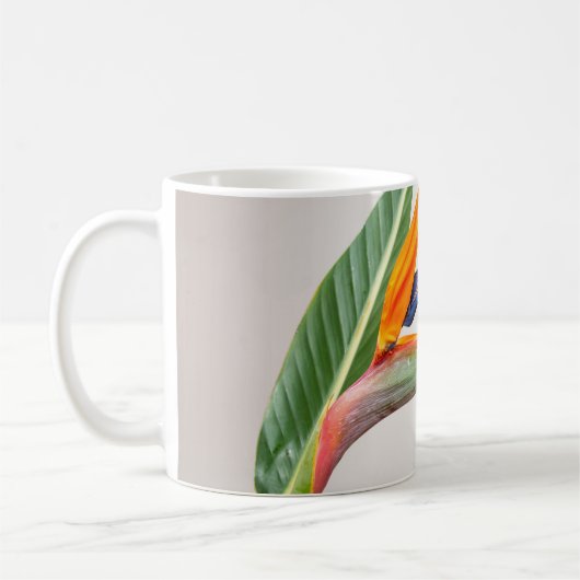 クラシックマグ コーヒーマグカップ (左)