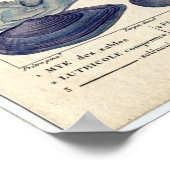 クラシックマリンエッチング – クリーム ポスター (角)