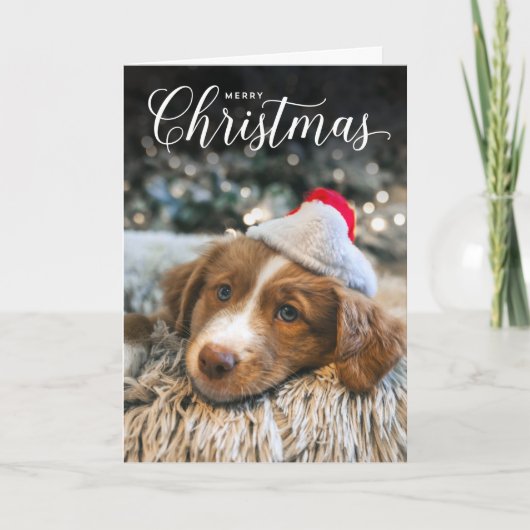 クラシックメリークリスマス型フォトカード シーズンカード (正面)