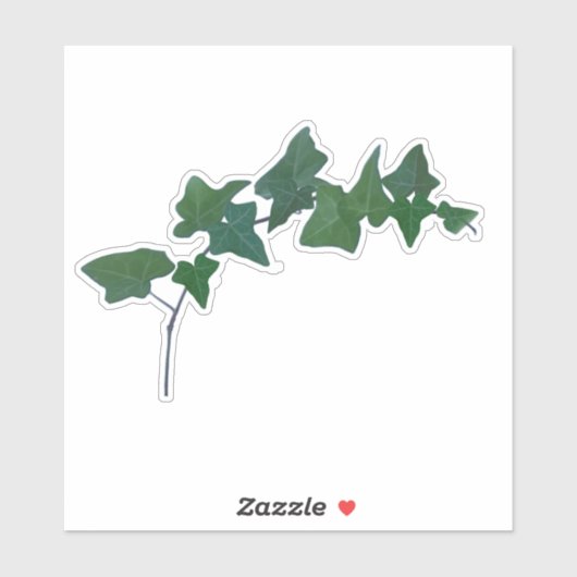 クラシックヴィンテージアイリッシュアイビー植物学 シール (シート)