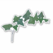 クラシックヴィンテージアイリッシュアイビー植物学 シール (正面)