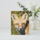 クラシック写真はがき ポストカード (スタンド正面)