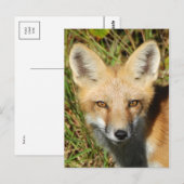 クラシック写真はがき ポストカード (正面/裏面)