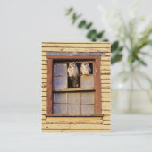 クラシック写真はがき ポストカード (スタンド正面)