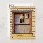 クラシック写真はがき ポストカード (正面/裏面)