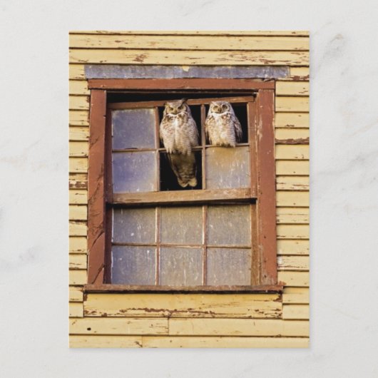 クラシック写真はがき ポストカード (正面)