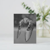 クラシック写真はがき ポストカード (スタンド正面)