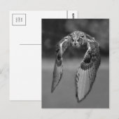 クラシック写真はがき ポストカード (正面/裏面)