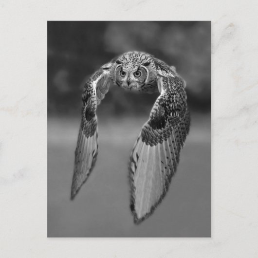 クラシック写真はがき ポストカード (正面)