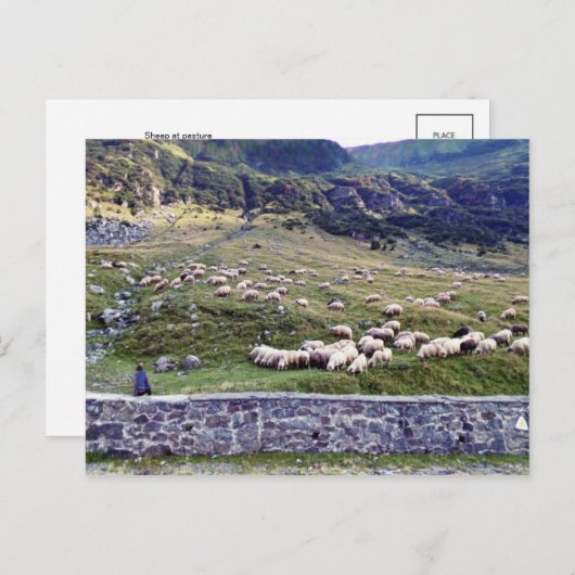 クラシック写真はがき ポストカード (正面/裏面)