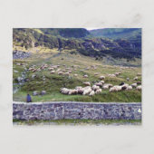 クラシック写真はがき ポストカード (正面)