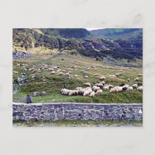 クラシック写真はがき ポストカード (正面)