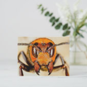 クラシック写真はがき ポストカード (スタンド正面)