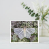 クラシック写真はがき ポストカード (スタンド正面)