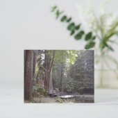 クラシック写真はがき ポストカード (スタンド正面)