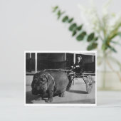 クラシック写真はがき ポストカード (スタンド正面)