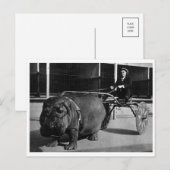 クラシック写真はがき ポストカード (正面/裏面)