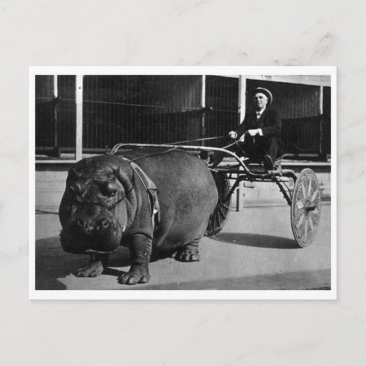 クラシック写真はがき ポストカード (正面)