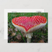 クラシック写真はがき ポストカード (正面/裏面)