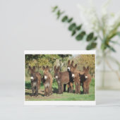 クラシック写真はがき ポストカード (スタンド正面)