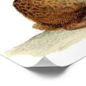 クラシック動物学的エッチング – ウサギ ポスター (角)