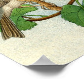 クラシック動物学的エッチング – スズメ ポスター (角)