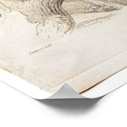 クラシック動物用エッチング – ローラー ポスター (角)