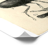 クラシック動物用エッチング – 昆虫 ポスター (角)