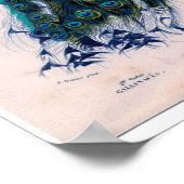 クラシック動物用エッチング – Peacock ポスター (角)
