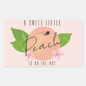 クラシック桃ミニマル赤ちゃんシャワー 長方形シール (正面)