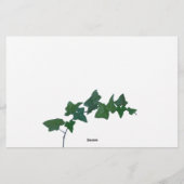 クラシック水彩緑アイビー文房具 便箋 (裏面)