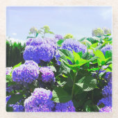 クラシック紫リアリスティック紫陽花コースター ガラスコースター (正面)