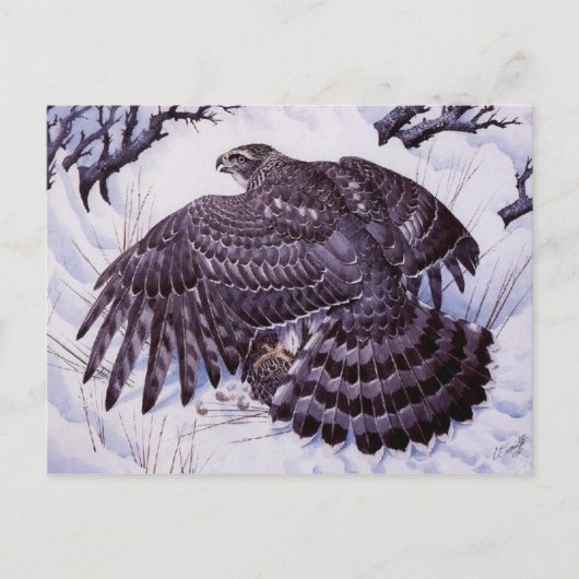 クラシック絵画ポストカード ポストカード (正面)