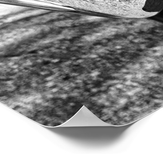 クラシック美しい ポスター (角)