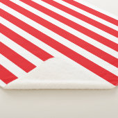 クラシック赤と白ストライプの シェルパブランケット (3/4)
