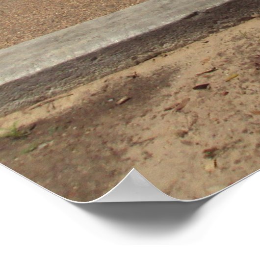 クラシック車 ポスター (角)