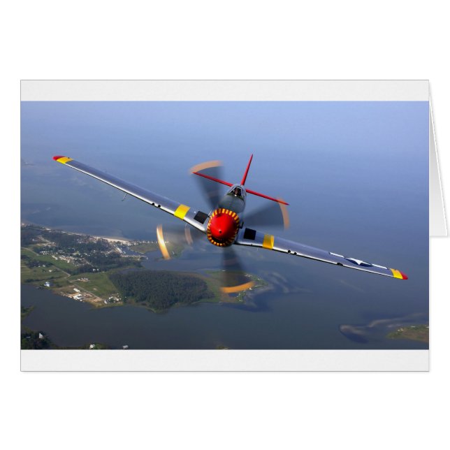 クラシック飛行機 (正面横)