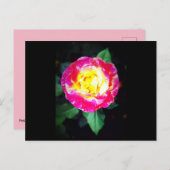 クラシック鮮やかバラ ポストカード (正面/裏面)