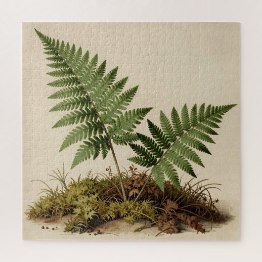 クラシック シダ植物図鑑 ジグソーパズル (縦)