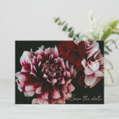 クラシック ブラックとピンクの芍薬  セーブザデート (スタンド正面)