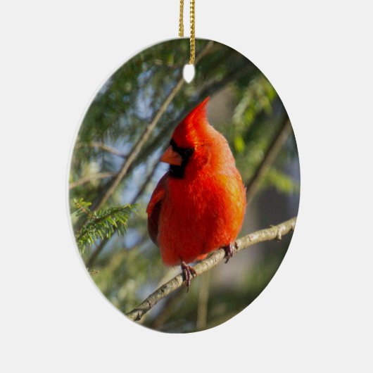 クラシック(鳥)ショウジョウコウカンチョウポートレート セラミックオーナメント (右)