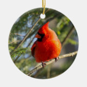 クラシック(鳥)ショウジョウコウカンチョウポートレート セラミックオーナメント (正面)