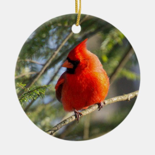 クラシック(鳥)ショウジョウコウカンチョウポートレート セラミックオーナメント (正面)