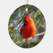 クラシック(鳥)ショウジョウコウカンチョウポートレート セラミックオーナメント (左)